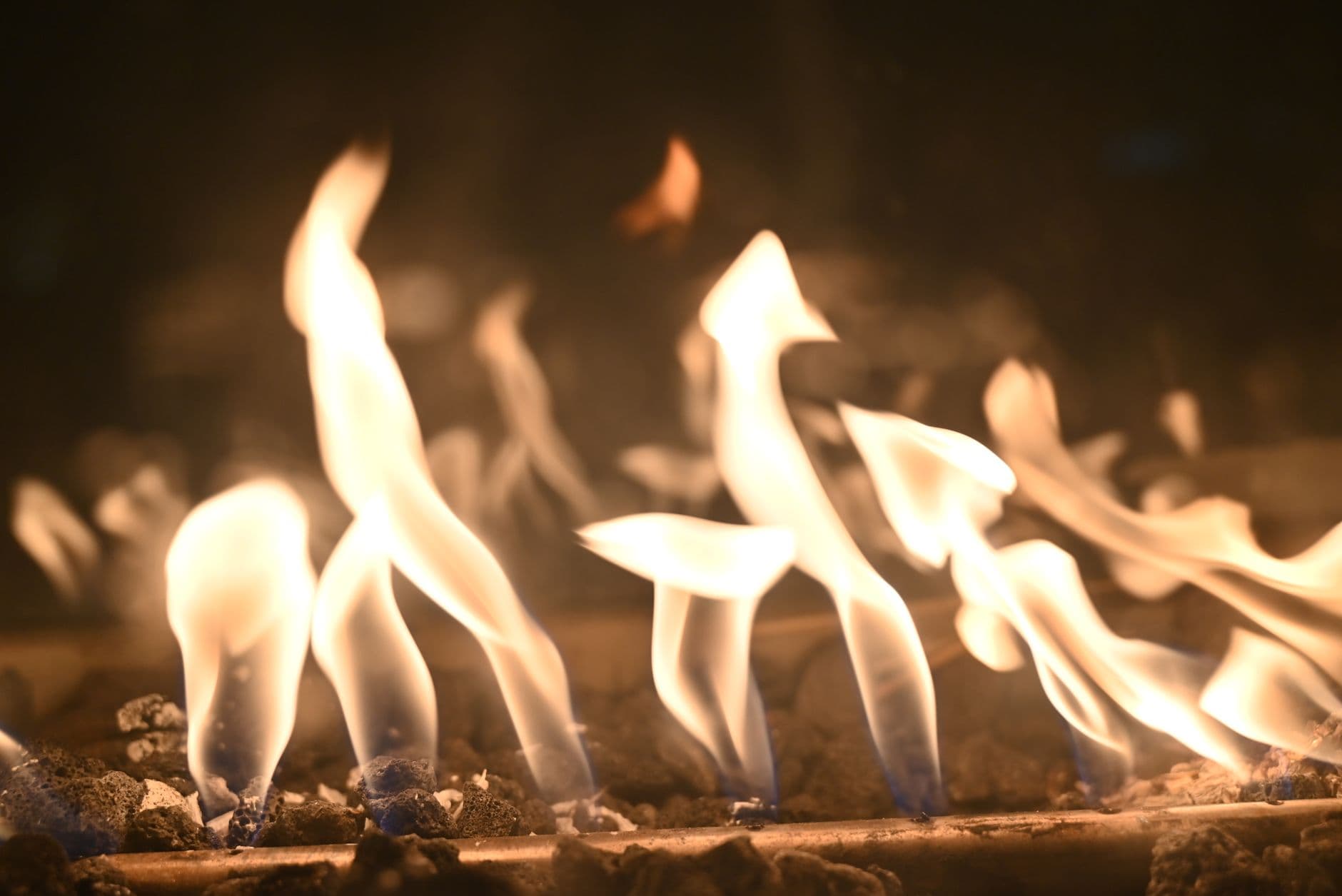 Close-up of dancing flames on embers, capturing warmth and dynamic movement.